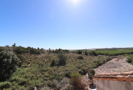 Venta - Chalet Independiente -
San Miguel de Salinas - Lake View Mansions