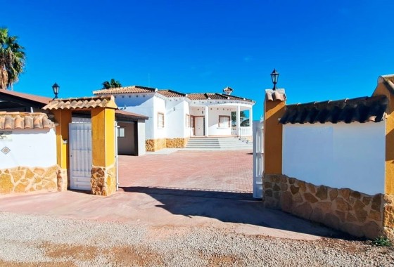 Venta - Finca / Casa de campo -
Catral