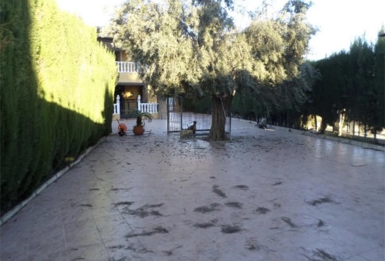 Venta - Chalet Independiente -
Orihuela - CAMPO