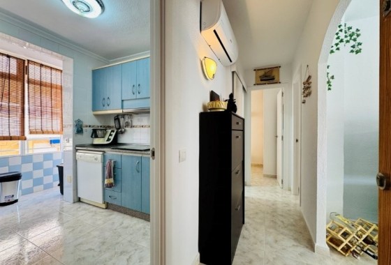 Resale - Apartment / Flat -
La Mata