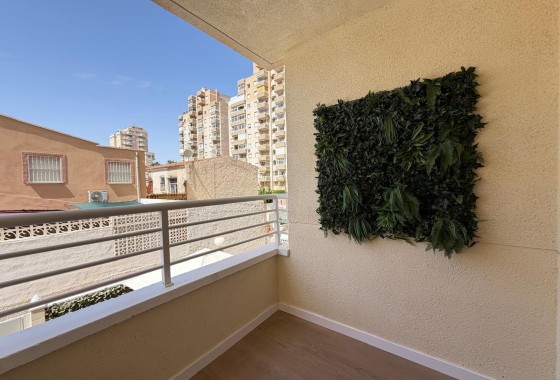 Sprzedaż - Apartament / Mieszkanie -
Torrevieja - Nueva Torrevieja
