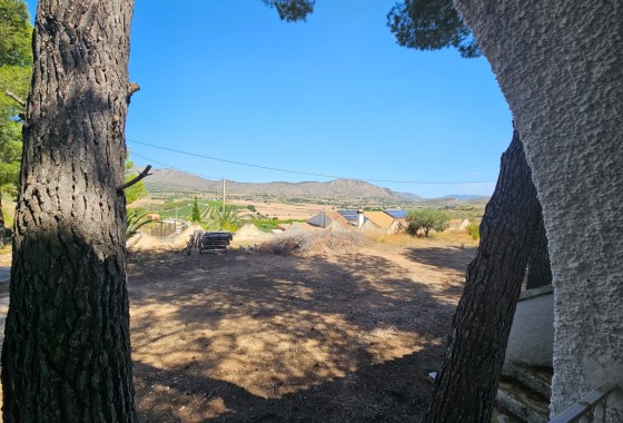 Revente - Finca / Propriété rurale -
Hondón de los Fráiles