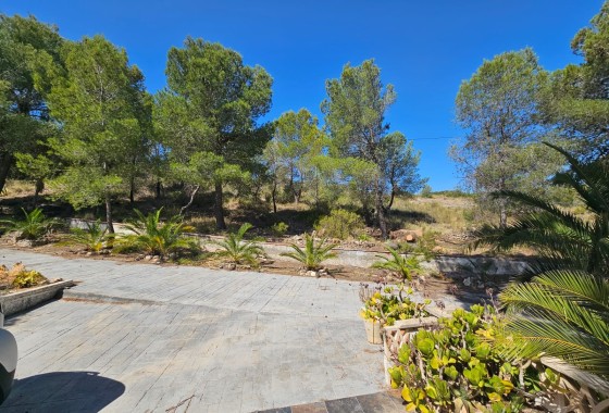 Revente - Finca / Propriété rurale -
Hondón de los Fráiles