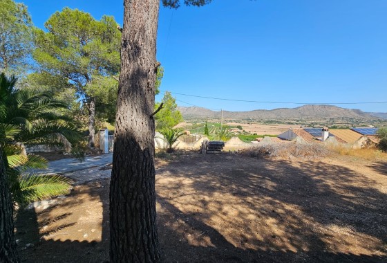 Revente - Finca / Propriété rurale -
Hondón de los Fráiles
