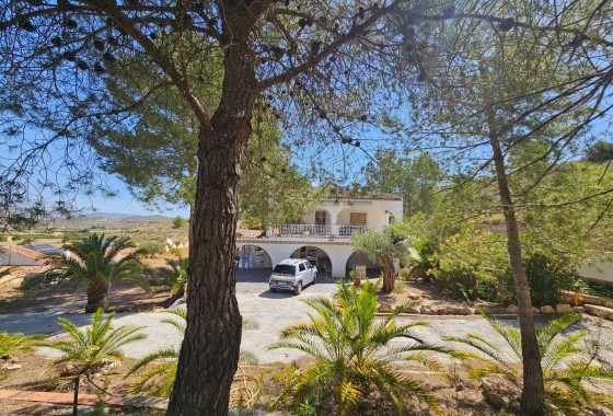 Revente - Finca / Propriété rurale -
Hondón de los Fráiles