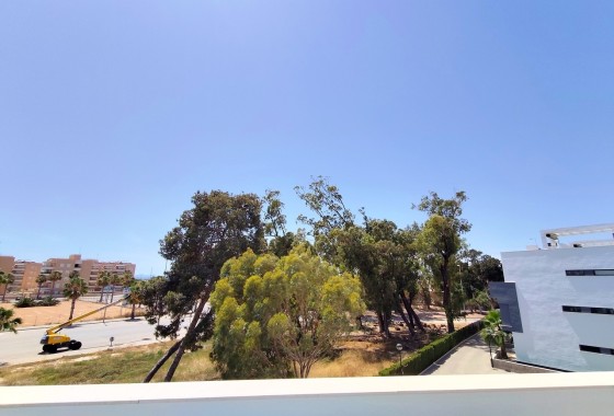 Venta - Apartamento / Piso -
Guardamar del Segura