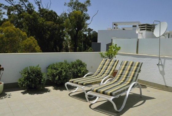 Venta - Apartamento / Piso -
Guardamar del Segura