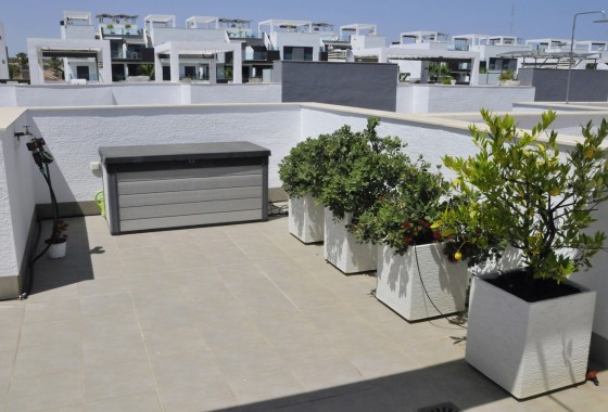 Venta - Apartamento / Piso -
Guardamar del Segura