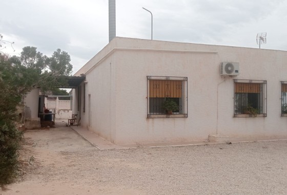 Revente - Finca / Propriété rurale -
Crevillente