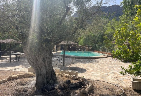 Venta - Finca / Casa de campo -
Murcia