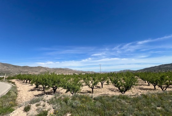 Revente - Parcelle / Terrain -
Hondón de los Fráiles