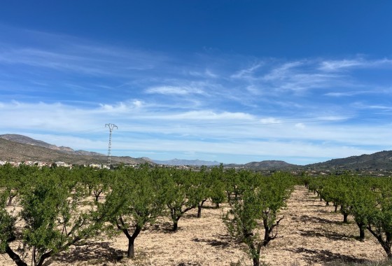 Revente - Parcelle / Terrain -
Hondón de los Fráiles