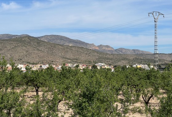 Revente - Parcelle / Terrain -
Hondón de los Fráiles