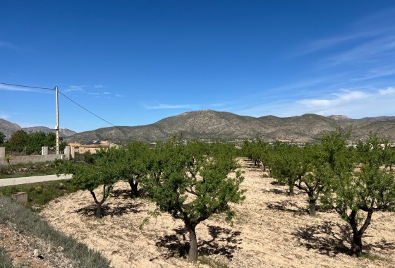 Revente - Parcelle / Terrain -
Hondón de los Fráiles
