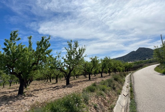 Revente - Parcelle / Terrain -
Hondón de los Fráiles
