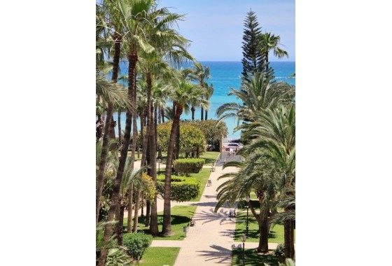 Herverkoop - Appartement / Flat -
Torrevieja - Los Frutales