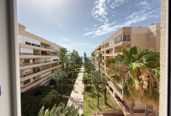 Herverkoop - Appartement / Flat -
Torrevieja - Los Frutales