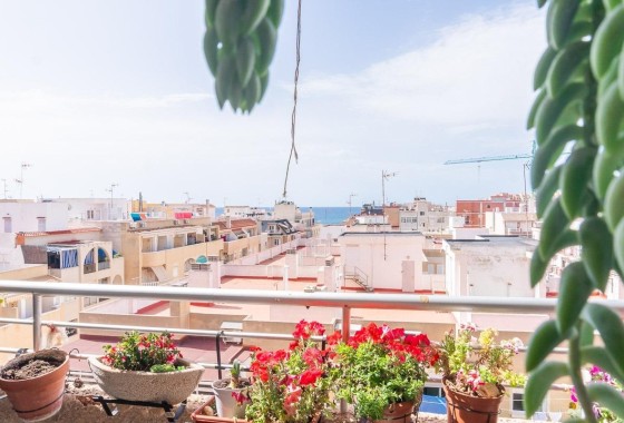 Sprzedaż - Apartament / Mieszkanie -
Torrevieja - Curva del Palangre