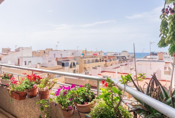 Sprzedaż - Apartament / Mieszkanie -
Torrevieja - Curva del Palangre