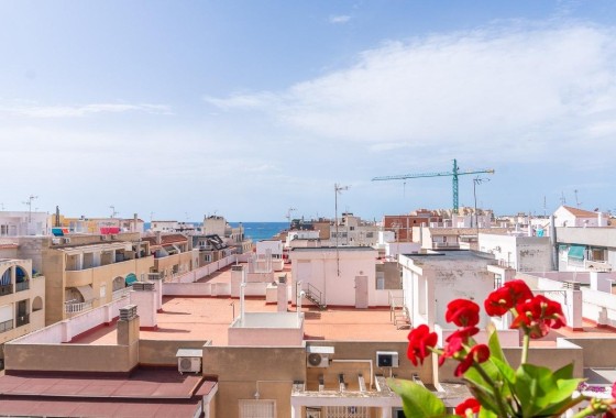 Sprzedaż - Apartament / Mieszkanie -
Torrevieja - Curva del Palangre