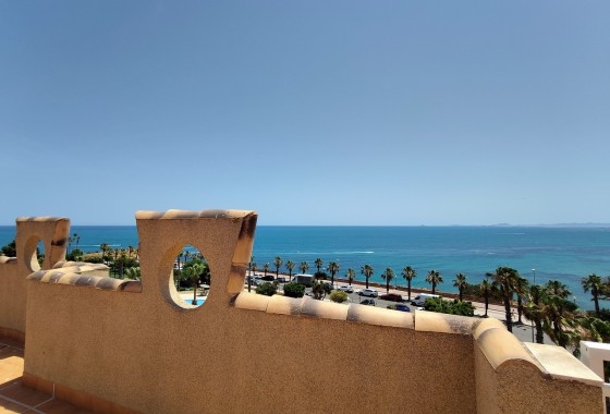 Sprzedaż - Apartament / Mieszkanie -
Cabo Roig