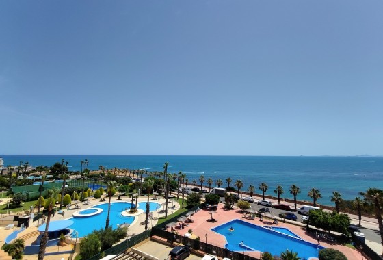 Sprzedaż - Apartament / Mieszkanie -
Cabo Roig