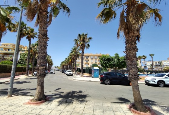 Sprzedaż - Apartament / Mieszkanie -
Cabo Roig