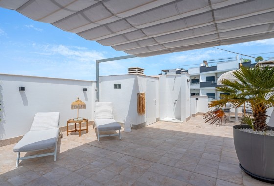 Sprzedaż - Apartament / Mieszkanie -
Torrevieja - Costa Blanca South