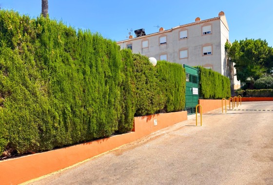 Sprzedaż - Apartament / Mieszkanie -
Torrevieja - Los Balcones