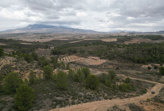 Resale - Plot / Land -
La Zarza