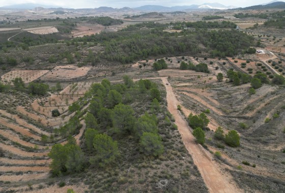 Resale - Plot / Land -
La Zarza