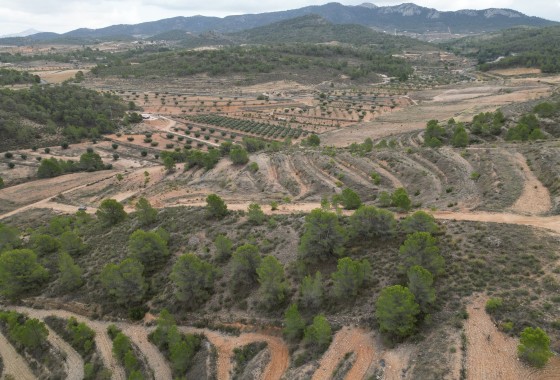 Resale - Plot / Land -
La Zarza
