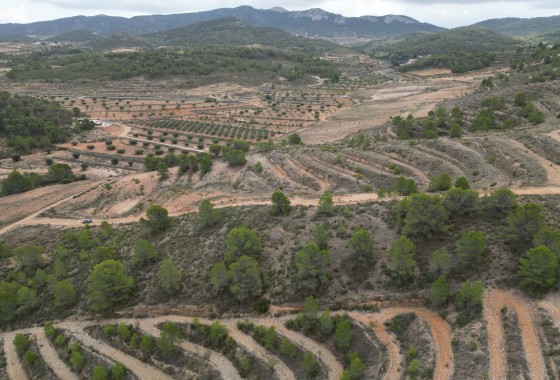 Resale - Plot / Land -
La Zarza