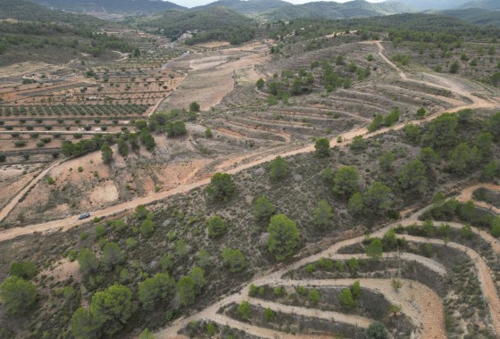 Resale - Plot / Land -
La Zarza