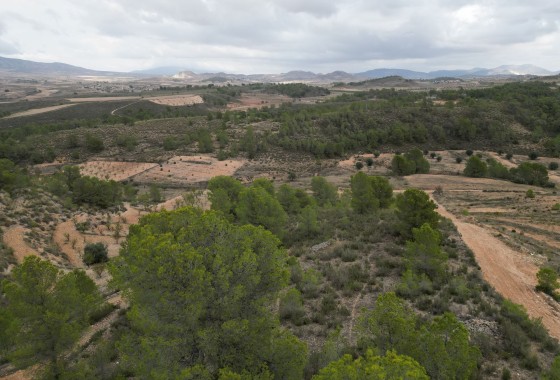 Resale - Plot / Land -
La Zarza