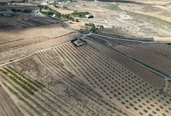 Venta - Parcela / Terreno -
Lel