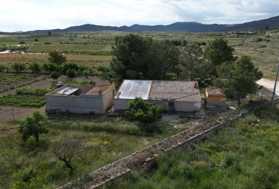 Revente - Parcelle / Terrain -
Pinoso