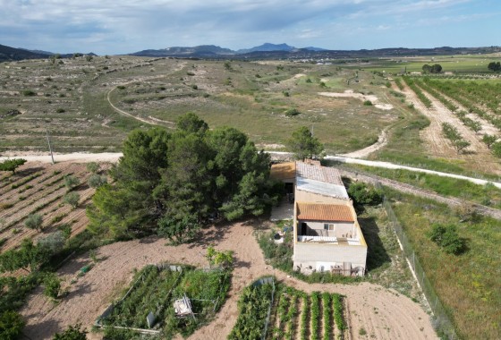 Revente - Parcelle / Terrain -
Pinoso