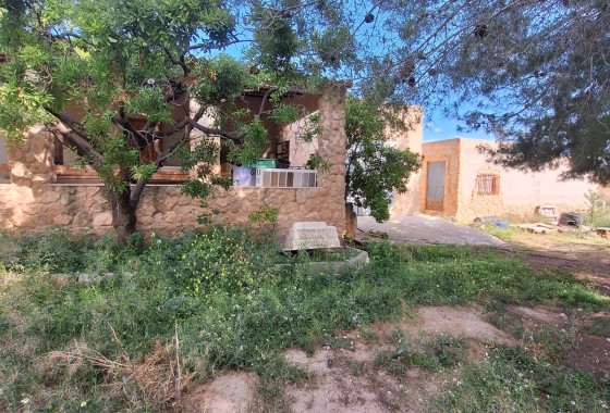 Revente - Parcelle / Terrain -
Pinoso