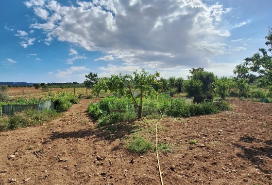 Revente - Parcelle / Terrain -
Pinoso