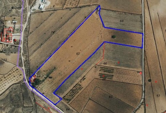 Revente - Parcelle / Terrain -
Pinoso