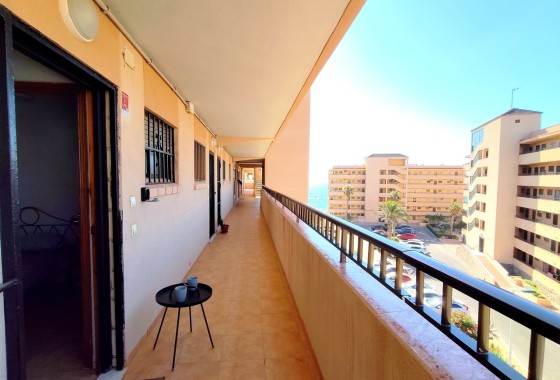Venta - Apartamento / Piso -
Torrevieja