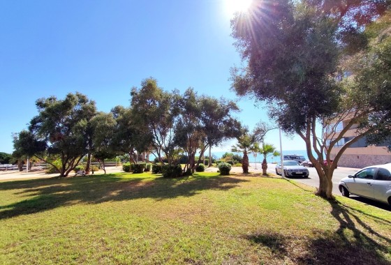 Venta - Apartamento / Piso -
Torrevieja