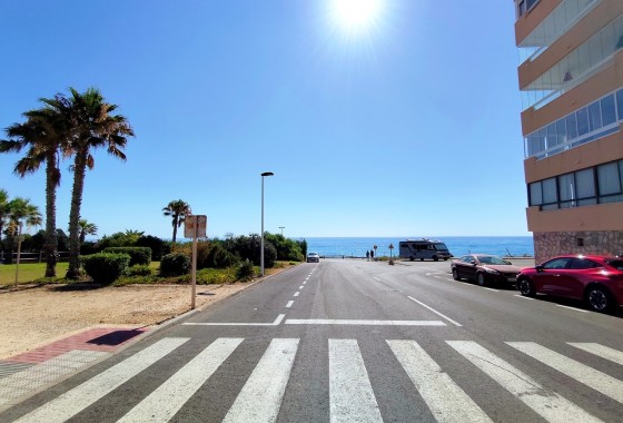 Venta - Apartamento / Piso -
Torrevieja