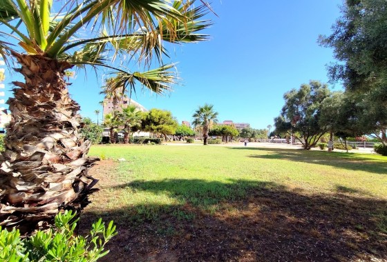 Revente - Appartement -
La Mata