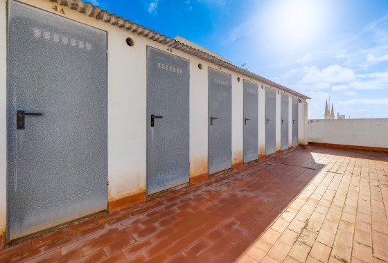 Sprzedaż - Apartament / Mieszkanie -
Torrevieja - Paseo maritimo