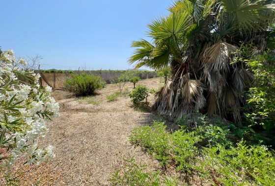 Resale - Detached Villa -
Daya Nueva