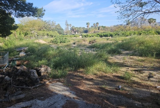 Venta - Finca / Casa de campo -
Novelda