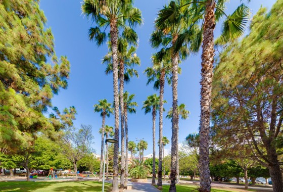 Sprzedaż - Apartament / Mieszkanie -
Torrevieja - Parque de las Naciones