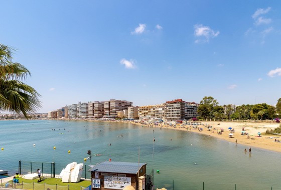 Sprzedaż - Apartament / Mieszkanie -
Torrevieja - Parque de las Naciones